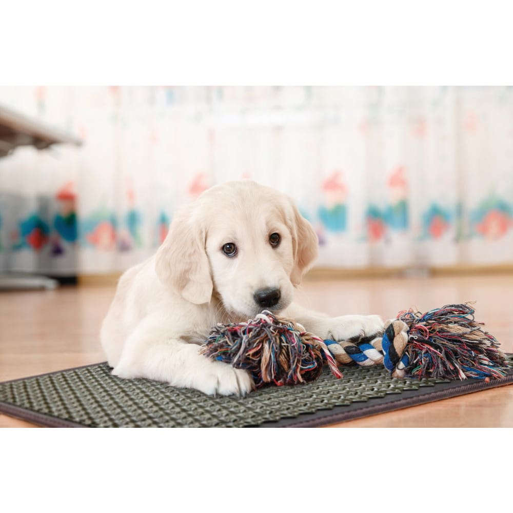 Pet Mat T Medium 3220 Firm - PEMF Inframat Pro by Healthyline - The Sauna World